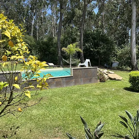 Da Floresta